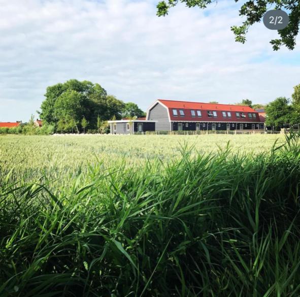 Vakantiewoning de Schelp Ellemeet Exterior foto